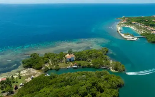 Roatan Island Living