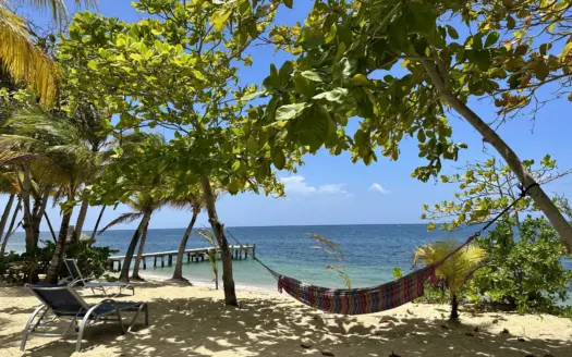On Roatan Life Real Estate
