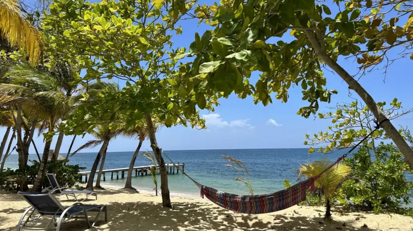 On Roatan Life Real Estate
