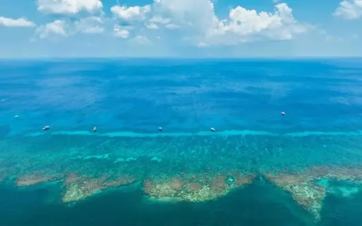 Diving in Roatan Honduras