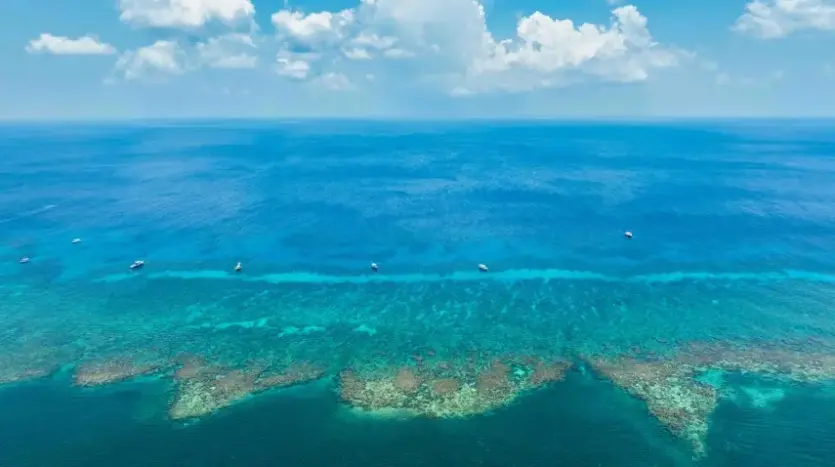 Diving in Roatan Honduras