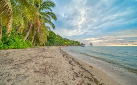 Roatan beach with palm trees at sunset