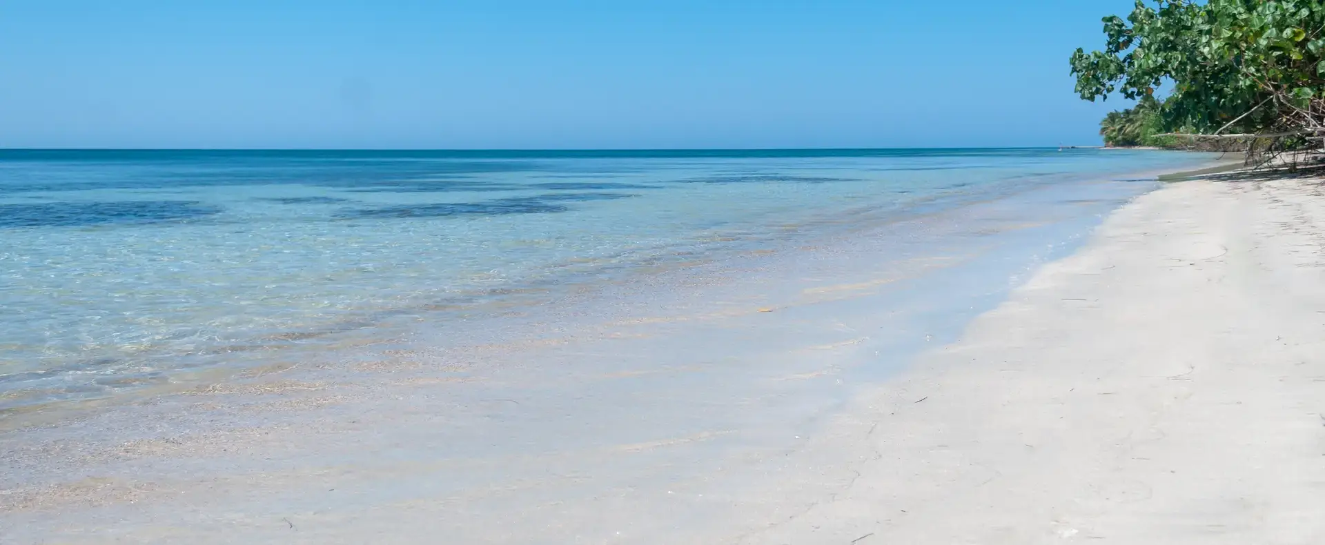 White sand beach on the 482-acre property, Guanaja Island