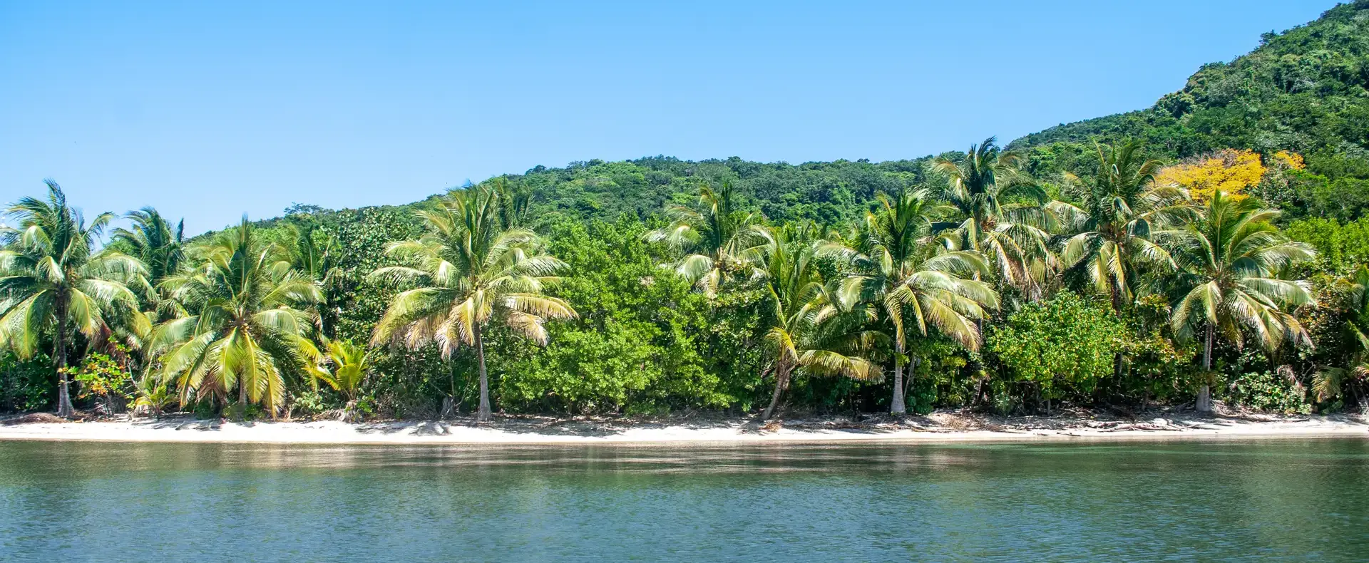 Palm-lined beach on the 482-acre property, Guanaja Island