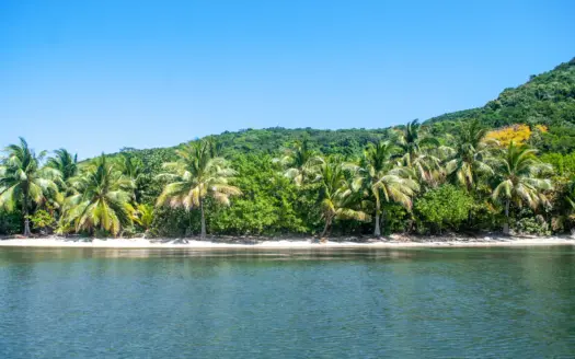 482 Acres of Paradise in Guanaja Island
