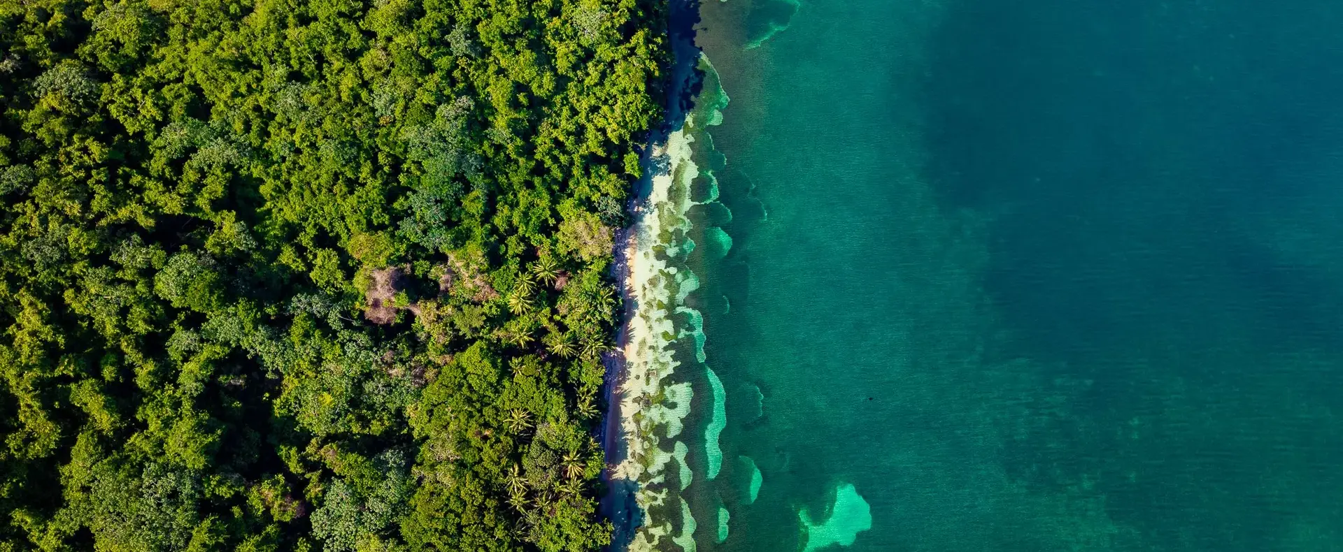 Aerial view of forest meeting the reef, 122-acre beachfront estate, Guanaja