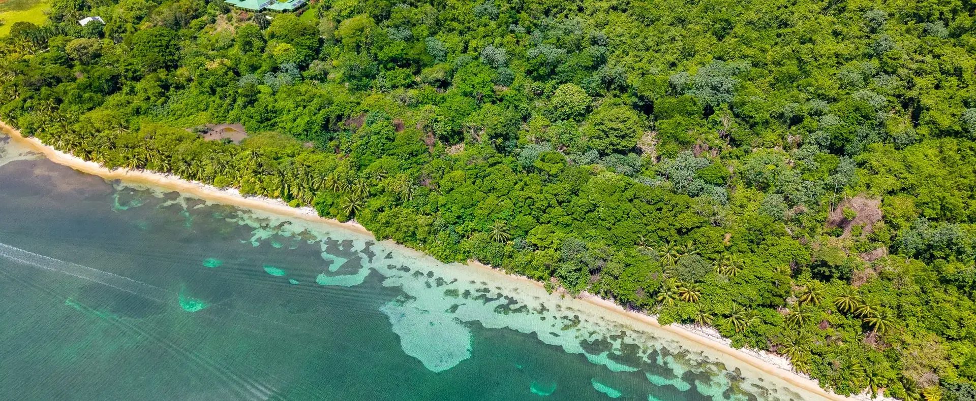 Aerial view of beachfront and reef on Guanaja