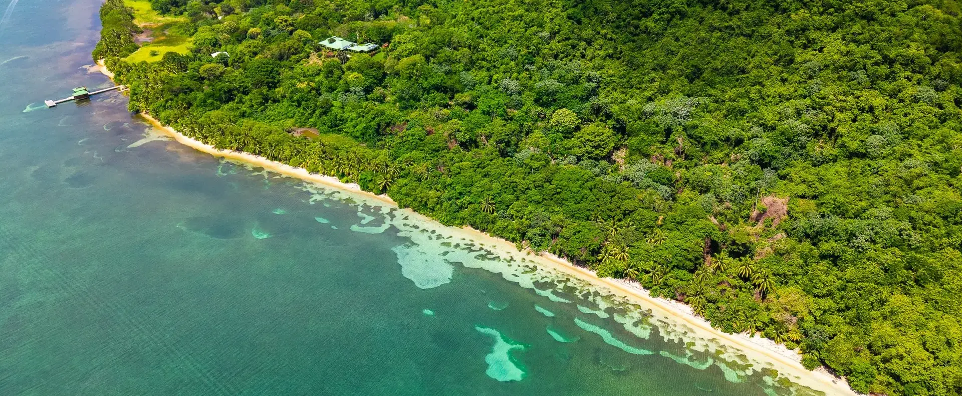 Aerial view of forested beachfront on Guanaja