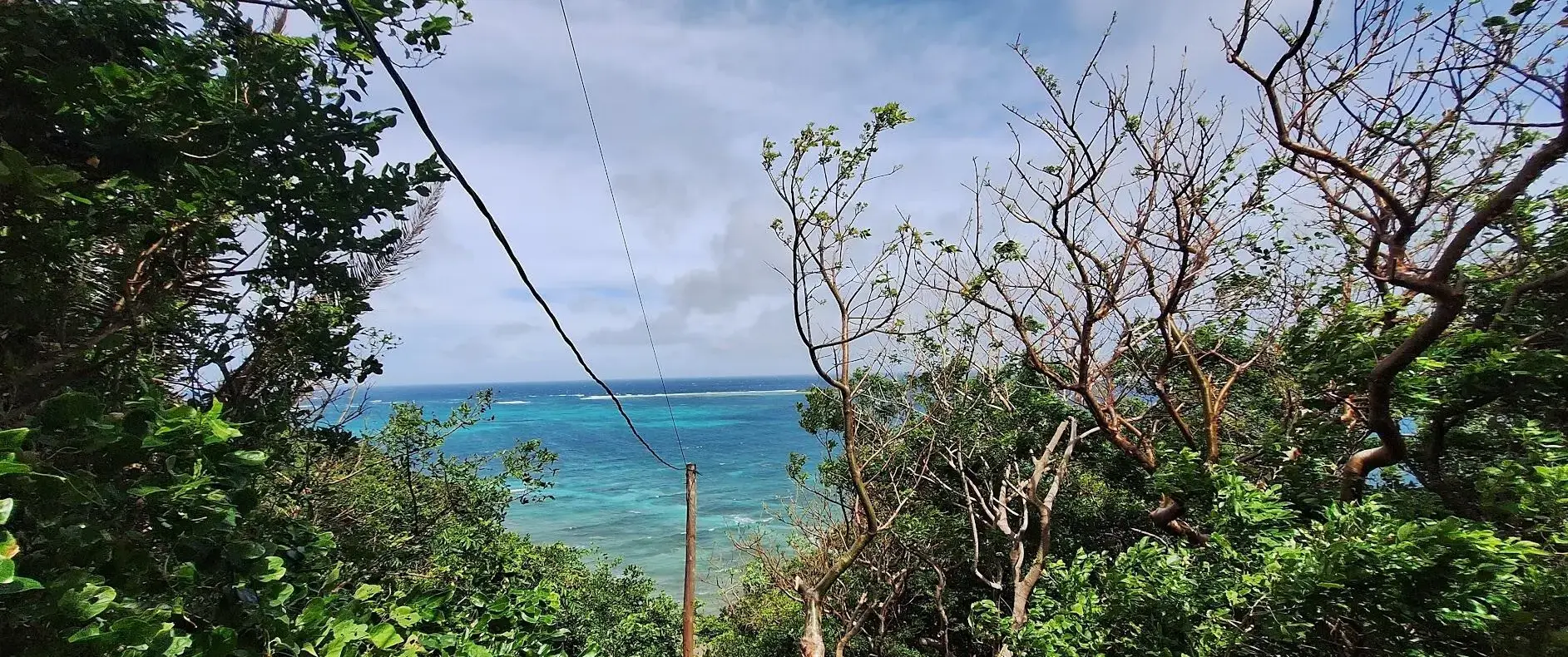 Caribbean Sea and reef break seen from the hillside