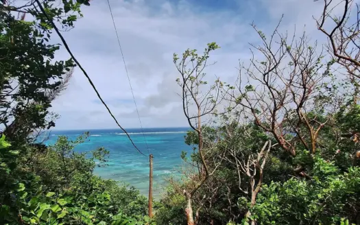 Hillside Waterfront Lot: 0.68 Acre with 178 ft of Sea Frontage, East End Guanaja