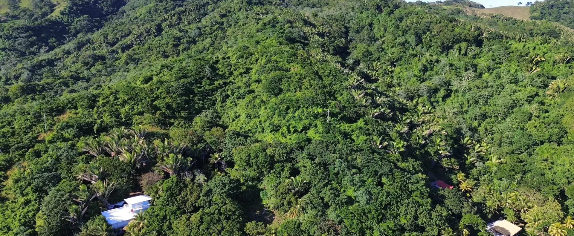 Aerial view of the green hills of east Guanaja