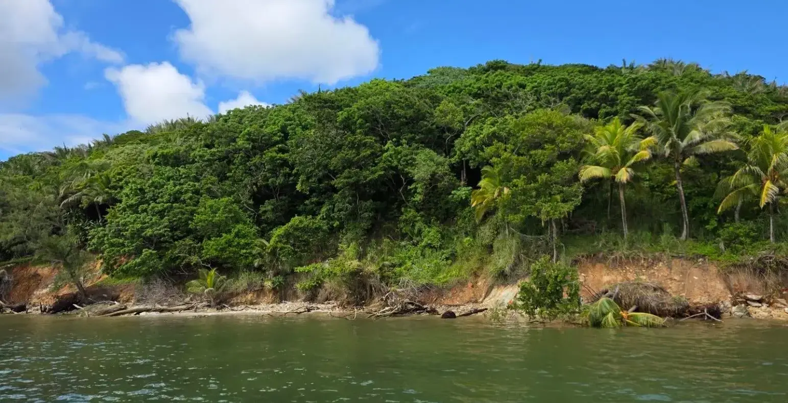 Guanaja hillside lot seen from the sea, with palms and forest