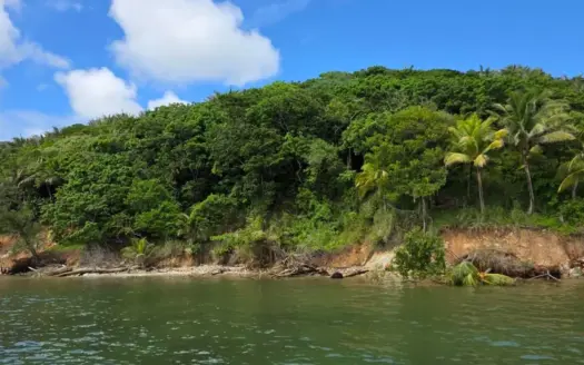 Hillside Waterfront Lot: 0.68 Acre with 178 ft of Sea Frontage, East End Guanaja