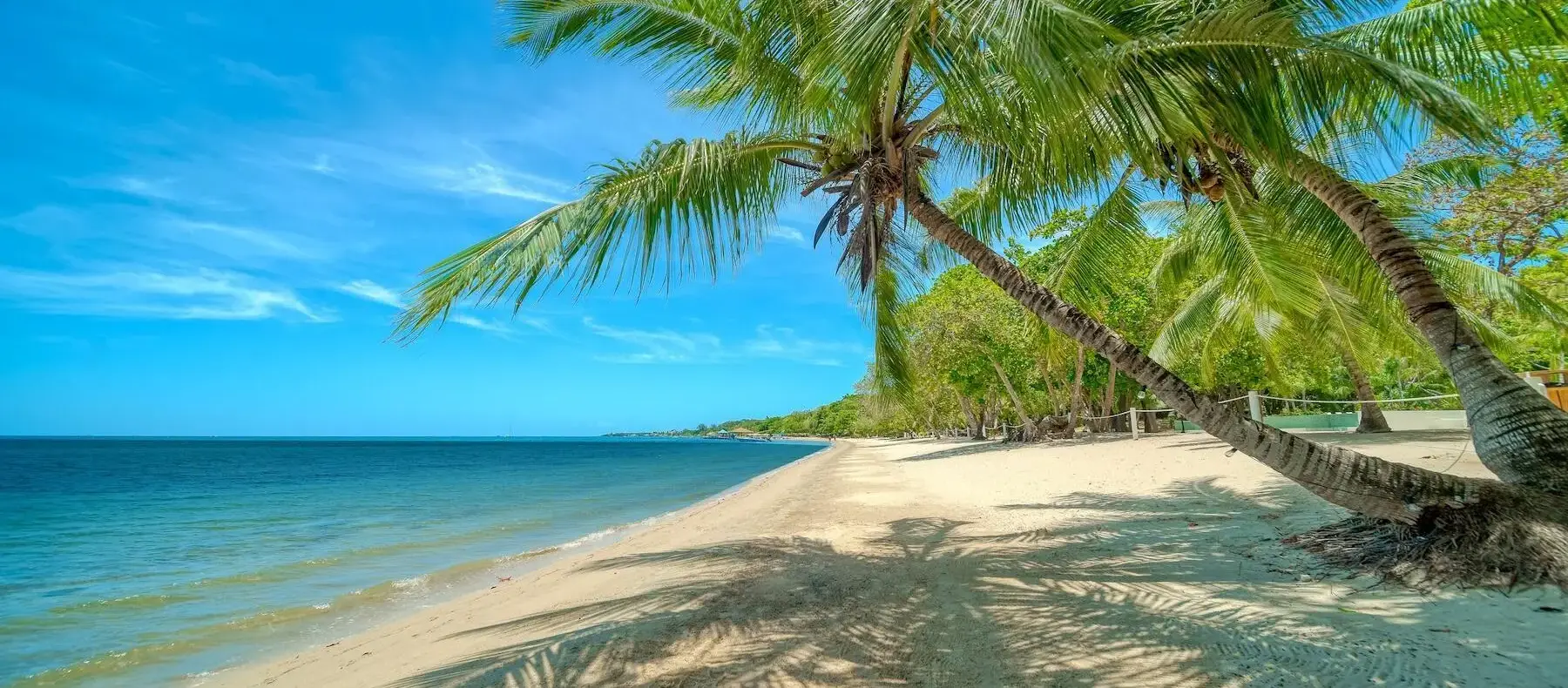 Palm-lined white sand beach, West Bay, Roatan