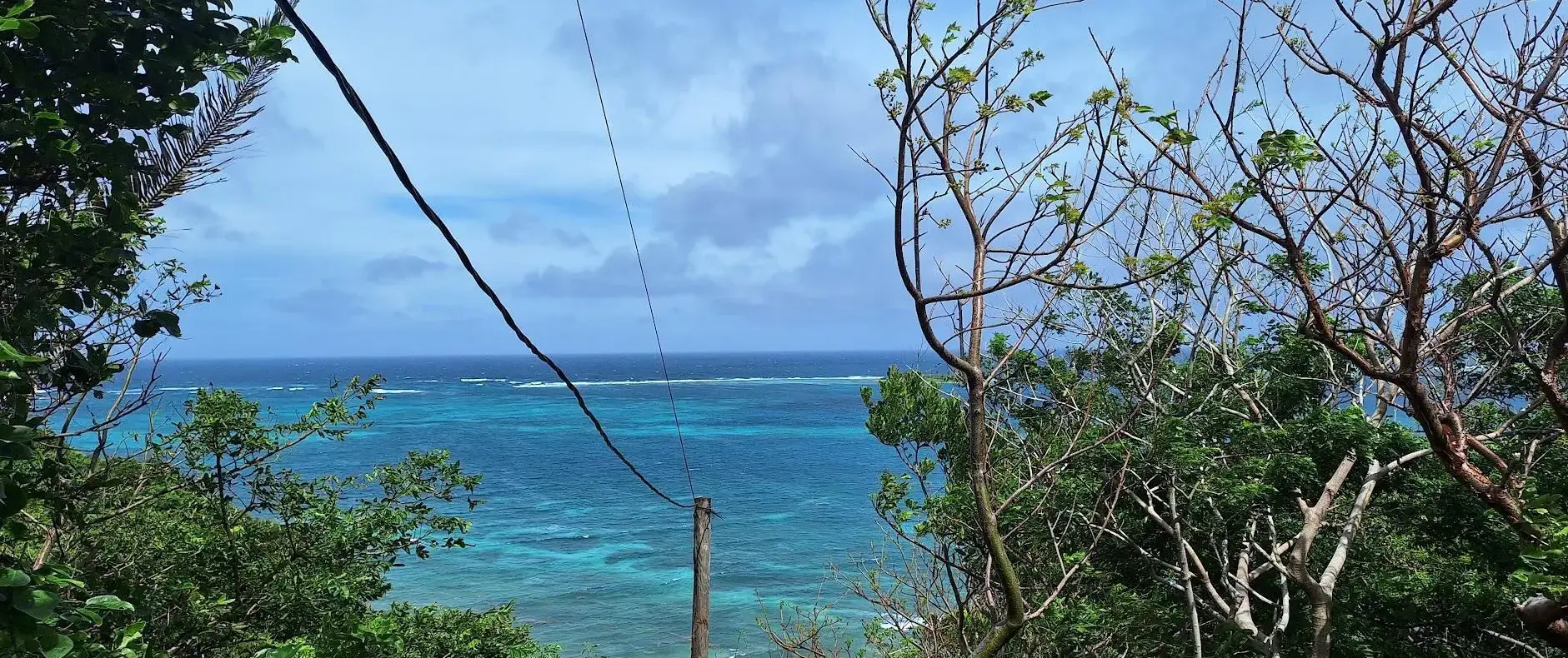Turquoise reef view through the trees of the lot