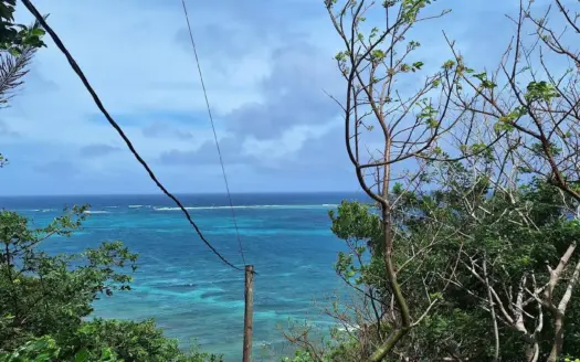 Hillside Waterfront Lot: 0.68 Acre with 178 ft of Sea Frontage, East End Guanaja